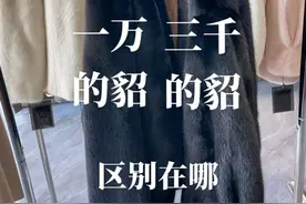 分享貂皮小知识好的水貂和差的水貂区别在哪里为何差距这莫大！#貂皮大衣