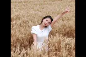 找闺蜜拍麦田照vlog#麦子熟了 #保持热爱奔赴山海视频封面