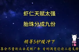虾仁因天赋太强，出生时胎珠一分为九！一口气看完沙雕动画合集视频封面