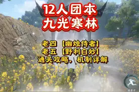 新赛季12人团本【九光寒林-深林】老四老五通关攻略，机制详解