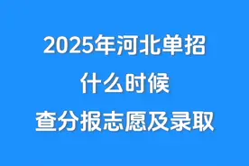 2025年河北省单招，什么时候出招生计划，查分，报志愿以及录取视频封面