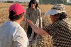 今天去下地割麦 然后邻居跑过来说不让我割 昨天他们家割麦的时候把我们家的麦割了有三拢 他们家割小麦每一年都割我们家的割了还不承认啊、今天我割麦割了她三拢他都不愿意他割我家三拢我割他家三拢、他都不愿意还跟我吵、还要去找我妈……#我的乡村生活 #记录真实生活 #邻居 #丰收的季节 #请树立正确的价值观念视频封面