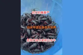 山水牛太多了，根本抓不完，下雨就来吧 老铁们好消息，下雨出来山水牛了，快点来抓了，很多，今天下雨明天早上一定来老铁们，根本抓不完你看看好多人#山水牛#旅游#旅游攻略 #抖音小助手#日照探店视频封面