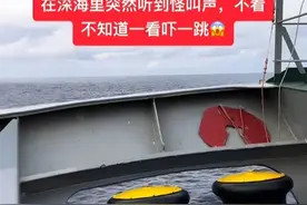 在深海里航行你永远不知道下一秒会碰到怎样的场景，这个世界真的好精彩😂视频封面