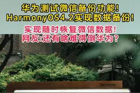 华为测试微信备份功能！HarmonyOS 4.2实现数据备份！实现随时恢复微信数据！网友：还有啥难得倒华为？最新消息:华为鸿蒙4.2版提供了微信数据备份至存储功能,让用户换手机轻松恢复重要聊天记录。此功能仅对4.2及以上机型用户开放，通过官方渠道可以进行尝鲜。华为HarmonyOS 4.2版微信备份功能让数据复原更易，对常用微信用户关键，但只适用于4.2版以上手机，其他用户需等待更新。网友：还有啥难得倒华为？你会用这个功能吗？#华为 #华为手机 #mate60pro #鸿蒙 #鸿蒙next