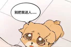 原本买的小鸡毛，到手却是一只小土狗#原创动画 #狗狗#上闲鱼有钱花#闲鱼捡漏#万物皆可挂闲鱼视频封面