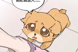 原本买的小鸡毛，到手却是一只小土狗#原创动画 #狗狗#上闲鱼有钱花#闲鱼捡漏#万物皆可挂闲鱼