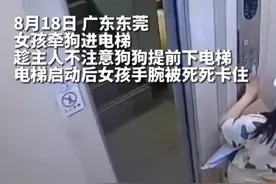 女孩牵狗进电梯，趁主人不注意狗狗提前下电梯，女孩手腕被死死卡住@抖音短视频视频封面