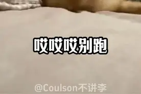 放开它！！！#动物配音视频封面
