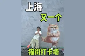 上海又一个猫街打卡墙诞生～需要地址评论区回哟～ 在路边画一幅画看看路人的反应～#上海墙绘 #上海彩绘 #上海涂鸦 #墙绘 #壁画师视频封面