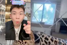 这是真“白虎”和“豹纹”……@国博文物总店 @听泉鉴宝 #听泉鉴宝 #国博文物总店听泉 #听泉鉴宝名场面 #听泉鉴宝直播回放视频封面