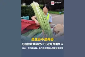 是韭苔不是蒜苔，司机拉蔬菜被收28元过路费引争议，收费员遭网暴无奈回应：嘴长在别人身上，我也没办法控制。当地：正积极争取，早日把韭苔纳入国家绿通目录。
