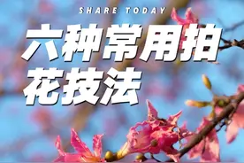六种拍花详细教程 通用六种拍花小技巧，简单好学，学习起来吧#拍花技巧 #手机摄影 #拍花 #拍摄花朵教程