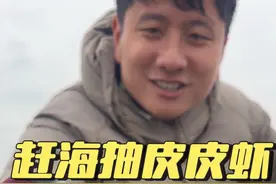 等了一年终于可以去抽皮皮虾了，难得遇见白天退大潮，大降温也阻挡不住小芬学长去赶海的步伐，带上工具去抽心心念念的斑马皮皮虾，没想到这个时节皮皮虾肥的条条爆膏，没一会就抽了一两斤，拿回家叔叔阿姨看到后悔都没去赶海，皮皮虾用来椒盐，超肥爆膏太香了，一口一个吃到停不下来！#广东 #赶海 #dou来广东百千万 #家庭日常 #湛江视频封面