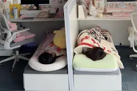 来看看同事们的午睡神器 #打工人 #午休 #午睡视频封面