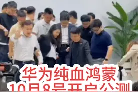 华为官宣10月8号，纯血鸿蒙开启公测！央视亲自助阵？视频封面