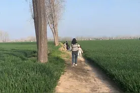 拍了整整两年，往返20多趟，终于凑齐了老家田间的春夏秋冬，听着这个音乐，仿佛过完了一生……#乡愁记忆 #农村生活 #四季轮回 #春夏秋冬 #乡野田间视频封面