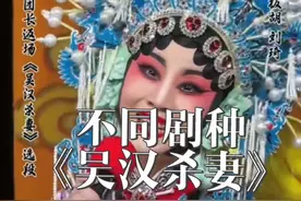 北京河北梆子剧团团长王洪玲，毕业于中央戏剧学院。一级演员，梅花、白玉兰奖获得者，文化部优秀专家。 戏剧是民族艺术之魂，初次网络欣赏，我觉得河北梆子也好听好看。谁说《兴汉图》是淘汰剧#戏曲人物 #兴汉图 #戏曲女装花旦服装视频封面