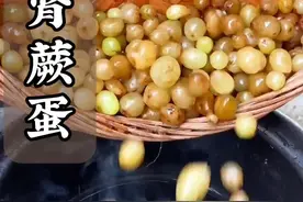 肾蕨蛋 肾蕨蛋又叫凤凰蛋，天鸡蛋，石黄皮，它是我们小时候经常吃的野果，还可以煲汤泡酒，你那里有吗？视频封面