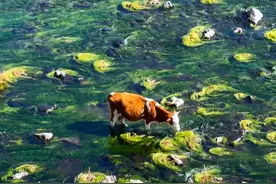 撒贝宁老师说：20岁的年龄做着80岁以后都能干的事 你要青春干什么呢？#各位请放肆生活吧 #撒贝宁 #旅行 #机位天才已就位 