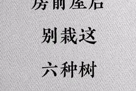 房前屋后别栽这六种树 #房前屋后 #手写视频封面