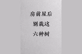 房前屋后别栽这六种树 #房前屋后 #手写视频封面