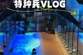 大连土著当导游带朋友逛吃一日游VLOG 换个身份看大连我恍然大悟…#旅行vlog #大连旅游攻略 #大连美食 #大连东港视频封面