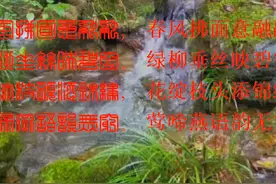 春风拂面意融融   绿柳垂丝映碧空