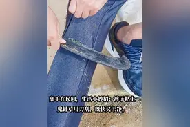 高手在民间，生活小妙招：裤子粘上鬼针草用刀刮，既快又干净。#非专业人士请勿模仿 #劳动人民的智慧 #乡村生活记录 #技术活 #办法总比困难多