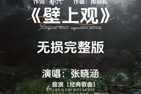 张晓涵《壁上观》无损音乐完整版 #创作灵感视频封面