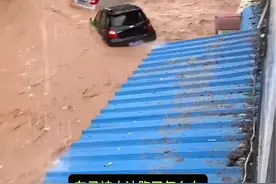 下雨发大水汽车被泡了，保险怎么赔，汽车被大水冲跑了怎么办？#汽车知识 #每天一个用车知识