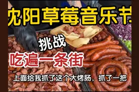 首发沈阳草莓音乐节，鸡架38炸鸡薯条50，小吃街从头吃到尾视频封面