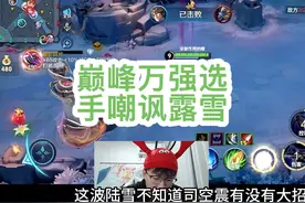 巅峰万强选手vs国服兰陵王露雪一个拥有许多小国标的巅峰万强选…