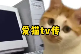 成神的代价，版本最强t0.5的哈基米为何频遭人厌？#大型纪录片视频封面