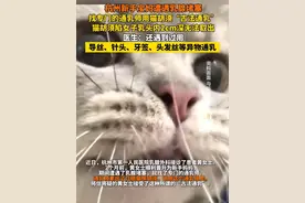 杭州新手宝妈遭遇乳腺堵塞 找专门的通乳师用猫胡须“古法通乳” 猫胡须陷女子乳头内2cm深无法取出 医生：还遇到过用 导丝、针头、牙签、头发丝等异物通乳