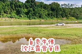 自贡沱江边露营草原，玩水游泳钓鱼，人少景美天花板的存在视频封面