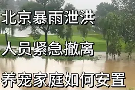 #北京多地暴雨  密云泄洪，昨天居住潮白河畔紧居民紧急撤离，很多家庭都养宠物，没法带到集中安置地去的，这个时候能花钱解决问题就自己解决吧，期待这场暴雨早日结束，我们也能尽快重返家园！#是宠物更是家人 #养狗人 #暴雨天气注意防范