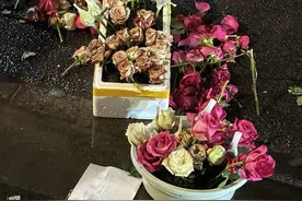 爱似水墨青花，何惧刹那芳华！视频封面