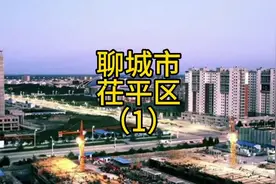 聊城市茌平区信发集团，山东隐形首富，与魏桥集团旗鼓相当。视频封面