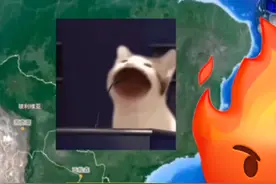 中巴军演最新情况#上热门 #中国 #社会百态 #社会视频封面