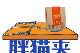 胖猫来了 胖猫来了#仅供娱乐#哈哈哈娱乐一下😂😂😂  #胖猫视频封面