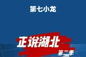 杭州第七小龙落户武汉了。#武汉 #江夏 #人工智能 #湖北dou知道 #大v说视频封面