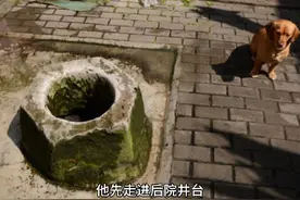 #民间故事解说 #每日一笑 #100个真实农村故事视频封面