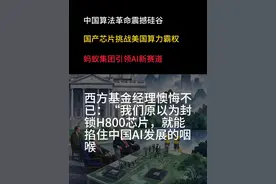 中国算法革命震撼硅谷，国产芯片挑战美国算力霸权，蚂蚁集团引领AI新赛道#强烈推荐 #最新消息 #深度硬核计划 #美国视频封面