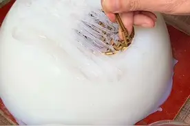 七十岁爷爷每天出摊卖刮凉粉‼️八块一份摊子好干净～#路边摊美味 #街边小吃 #豌豆凉粉 #美食视频封面