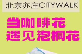 在北京亦庄宏达路的泡桐大道，与姹紫嫣红来一场浪漫约会，品尝独特的限量版泡桐咖啡，体验全无人的自动驾驶出租车！这是属于我的春天浪漫。#当咖啡花遇见泡桐花 #全国人均咖啡馆密度最高的地方#北京亦庄young #亦庄泡桐花拿捏春日氛围感视频封面