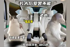 小时候vs长大后听dj戏腔歌 #猫meme #dj #戏腔 #新鲜哥