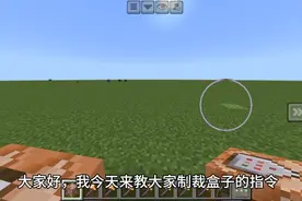 教大家制裁盒子的指令 #原创视频 #mc不灭 #制作不易 不喜勿喷