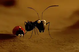 （上集）黑蚂蚁和红蚂蚁为了一块方糖，引发了一场激烈大战……视频封面