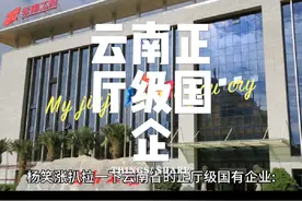 云南省的正厅级国有企业有哪些？#云南 #国有企业 #云南国企视频封面